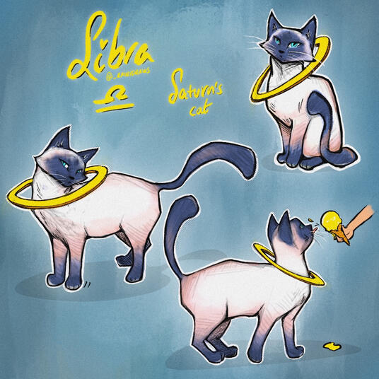 Libra (OC), Saturn’s cat